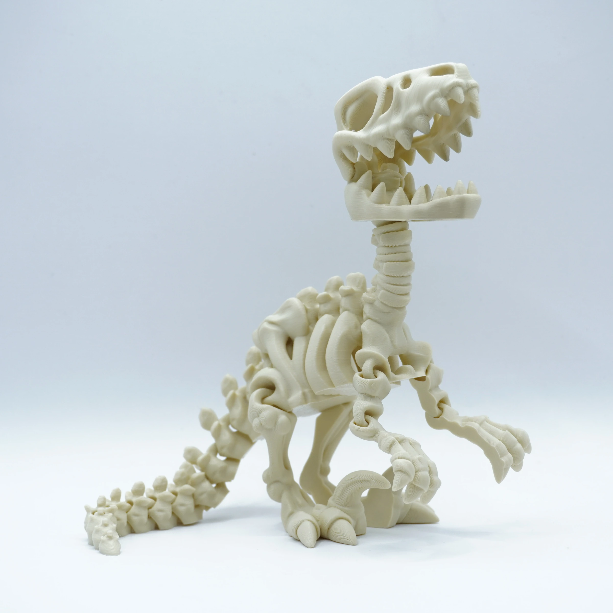Velociraptor (Velociraptor mongoliensis) esqueleto articulado – PLA+ – color hueso Velociraptor esqueleto articulado impreso en 3D en PLA+ color hueso, con garra en hoz y cola segmentada
